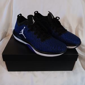 Jordan Trainer 1 Low Concord